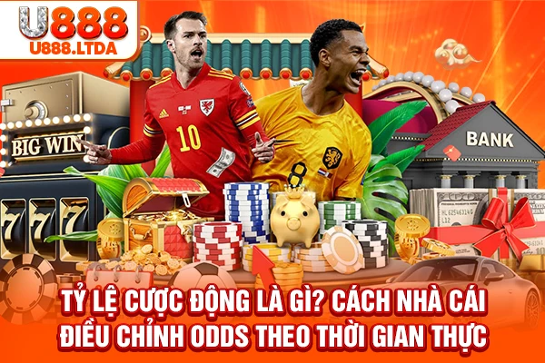 tỷ lệ cược động là gì?