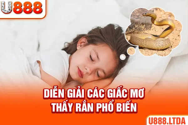 Diễn giải các giấc mơ thấy rắn phổ biến