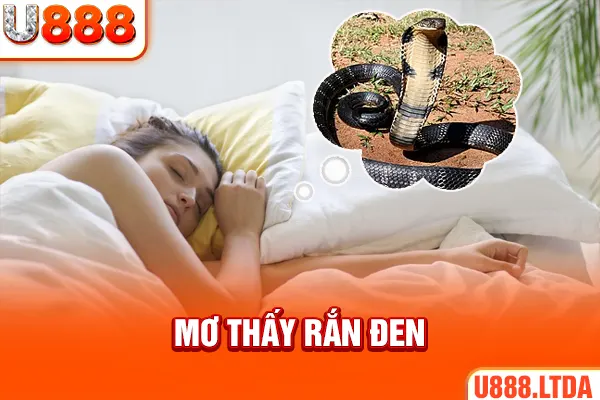 Mơ thấy rắn đen báo hiệu điều gì?