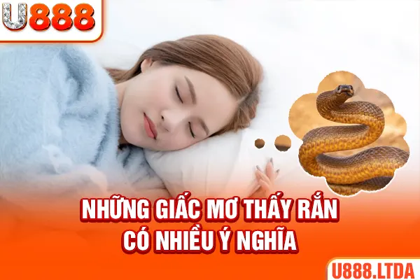 Những giấc mơ thấy rắn có nhiều ý nghĩa