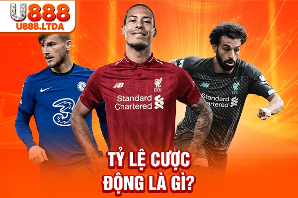 Tỷ lệ cược động là gì?
