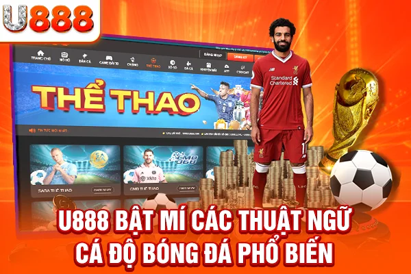 U888 bật mí các thuật ngữ cá độ bóng đá phổ biến